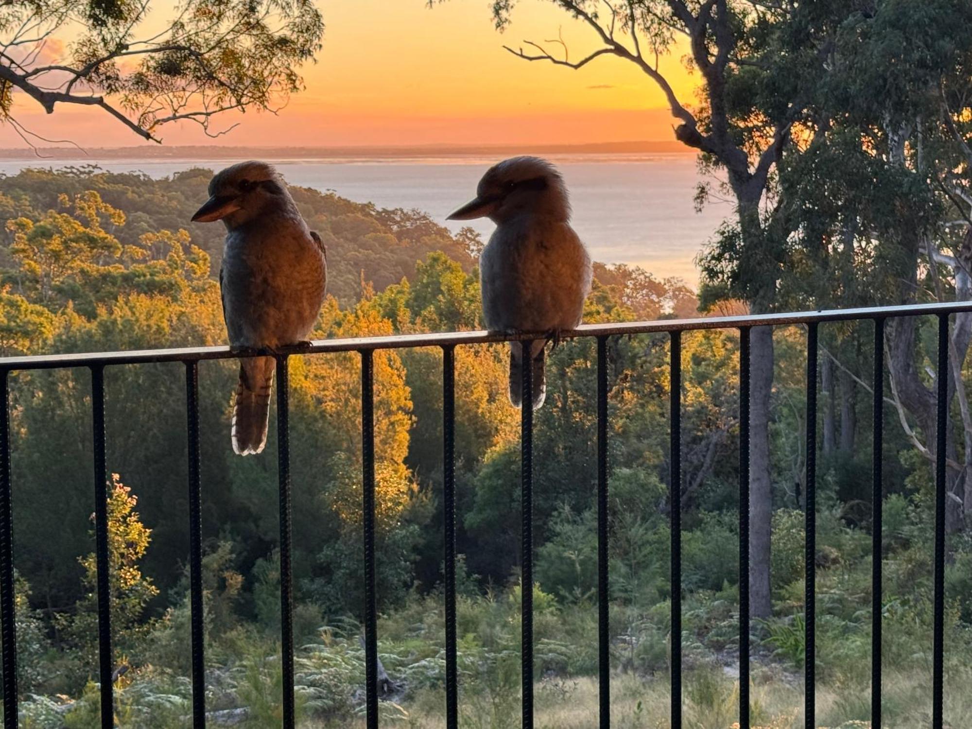 Our Beach House Kingfisherbay Fraser Island Buitenkant foto